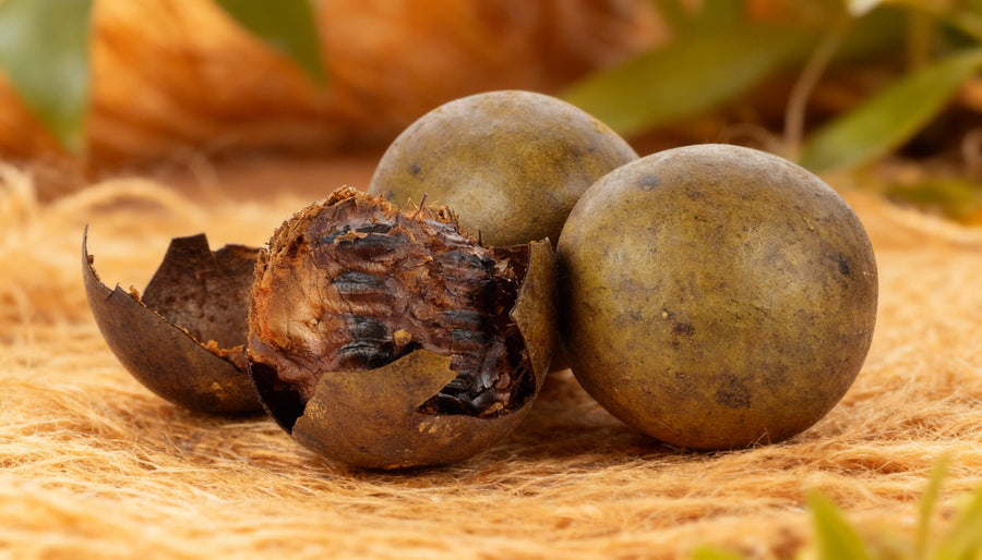 Whole and cracked open monk fruit on a warm natural surface, the natural sweetener source behind some of the cleanest monk fruit ice cream brands on the market.