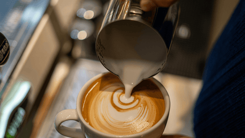 Steamed milk being poured into a latte showing whole milk as a healthy and filling coffee add-in for sustained morning energy.
