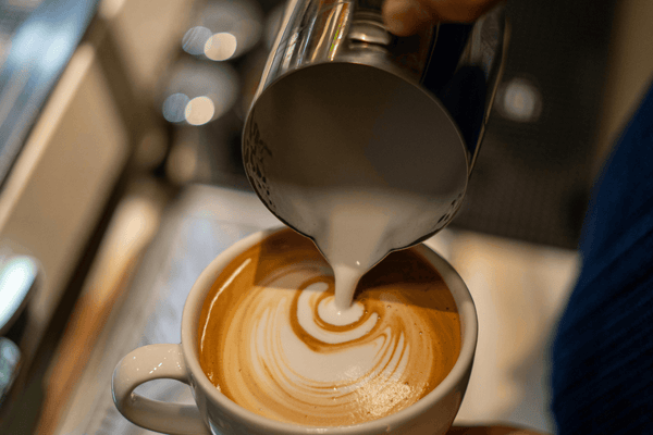 Steamed milk being poured into a latte showing whole milk as a healthy and filling coffee add-in for sustained morning energy.