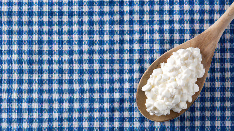 Cottage cheese on a spoon showing a high-protein food option to support how to prevent muscle loss on GLP-1.