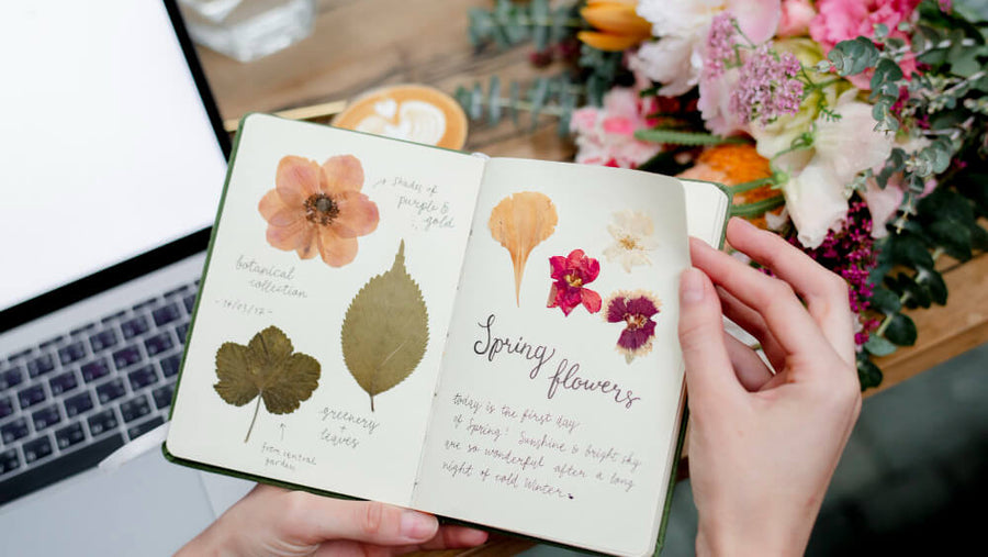 Hands holding an open wellness journal with pressed flowers as a thoughtful Mother's Day gift for health conscious moms.