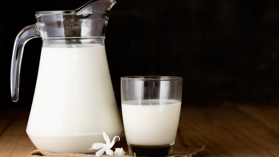 Clear glass pitcher and small glass of whole milk on a dark background